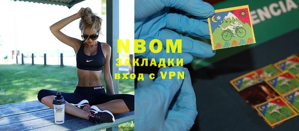 соль ск Новозыбков