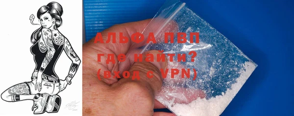 соль ск Новозыбков