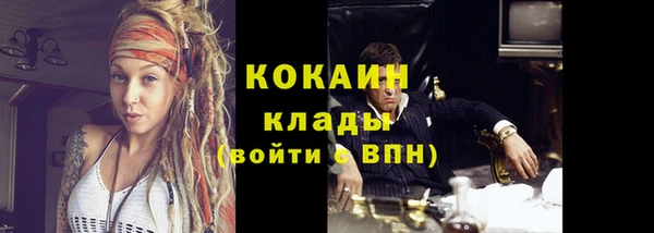 соль ск Новозыбков