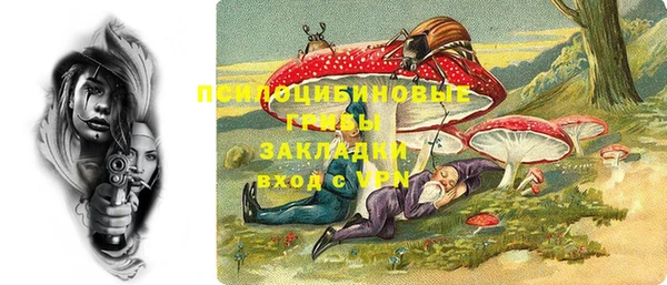 соль ск Новозыбков