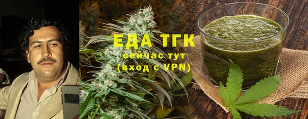 соль ск Новозыбков