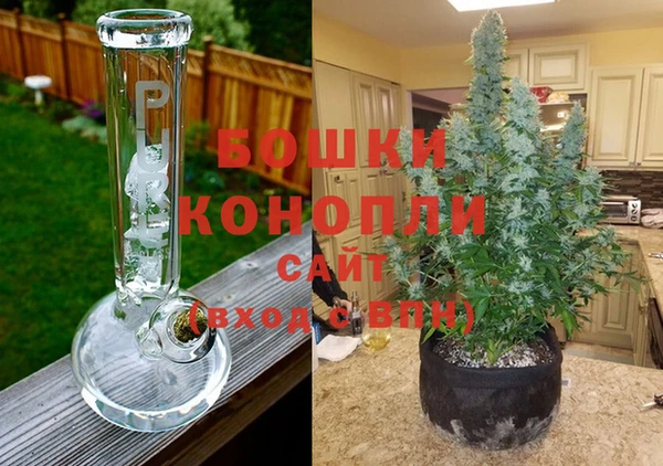 соль ск Новозыбков