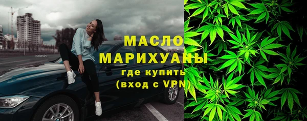соль ск Новозыбков