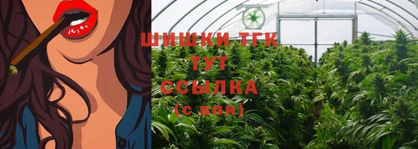 соль ск Новозыбков