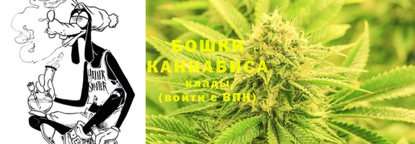 спайс Новодвинск