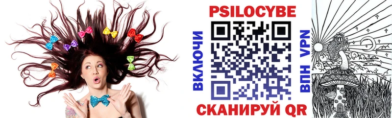 Галлюциногенные грибы Psilocybine cubensis  Суоярви 